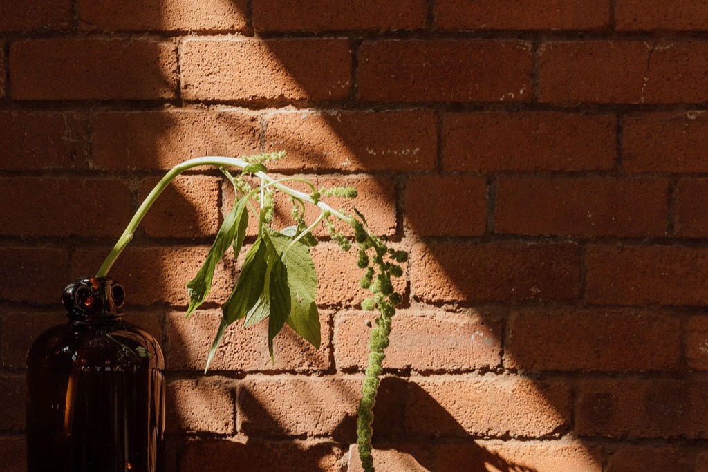 Sustainability Matters